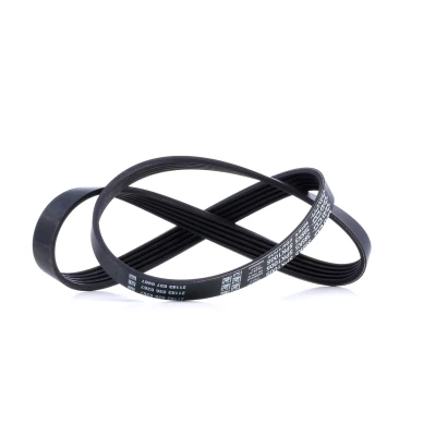 Abbildung von DAYCO 5PK1005 Keilrippenriemen 1005,0mm 5 BMW: Limousine, 7, 8, TOYOTA: RAV4 I SUV, Camry III SUV Cabrio, ALFA ROMEO: 155