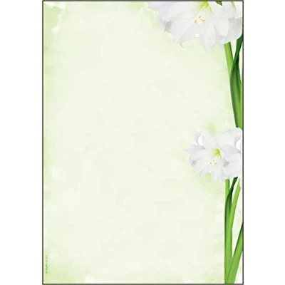 Abbildung von SIGEL DP463 Motiv Papier &quot;Green Flower&quot;, Briefpapier 90 g DIN A4, 25 Blatt, aus nachhaltigem