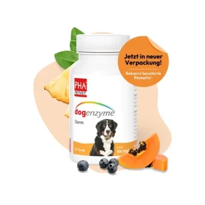 Abbildung von PHA dogenzyme Darm 100 Tabletten (46 g)