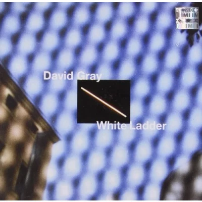 Abbildung von White Ladder