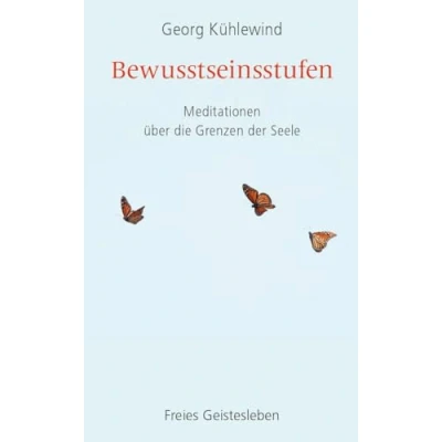 Abbildung von Bewusstseinsstufen: Meditationen über die Grenzen der Seele: u¿ber Seele