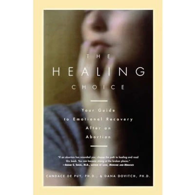Abbildung von The Healing Choice: Your Guide to Emotional Recovery After an Abortion