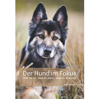 Abbildung von Der Hund im Fokus: Wer er ist, was kann, braucht