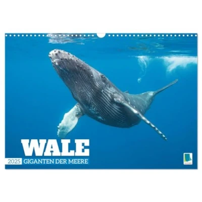 Abbildung von Wale: Giganten der Meere (Wandkalender 2025 DIN A3 quer), CALVENDO Monatskalender