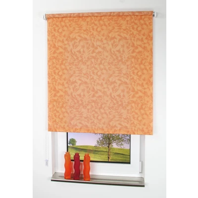 Abbildung von Liedeco Seitenzugrollo &quot;Dekor Wolken&quot;, Lichtschutz, freihängend, Dekor Wolken