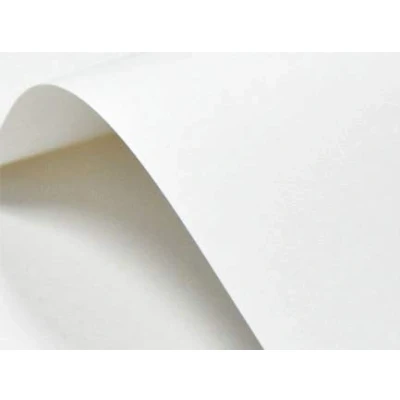 Abbildung von Netuno 400x Bastelkarton Weiß glatt DIN A4 21 x 29,7 cm 246g Elfenbeinkarton Ultraweiß Bastelpapier hochwertig bedruckbar für Visitenkarten Einladungs Karten Menükarten Zertifikate