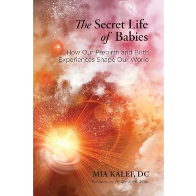 Abbildung von The Secret Life of Babies: How Our Prebirth and Birth Experiences Shape World