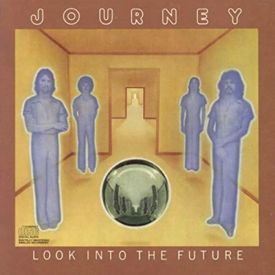 Abbildung von Look Into the Future