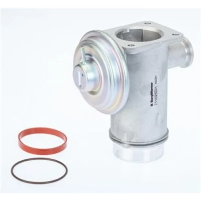 Abbildung von WAHLER 711025D/1 AGR Ventil pneumatisch mit Dichtung BMW: X3, 3 Touring, 1 Schrägheck