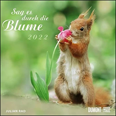 Abbildung von Sag es durch die Blume 2022 Hamster, Eichhörnchen, Zwiesel in Nahaufnahme Wandkalender mit Spiralbindung DUMONT Quadratformat 24 x cm:
