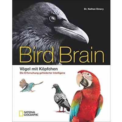 Abbildung von Bildband Vögel: Überflieger. Vögel mit Köpfchen. National Geographic präsentiert wunderschön illustriert Die faszinierende Erforschung der gefiederten ... gefiederter Intelligenz