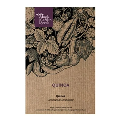 Abbildung von Quinoa (Chenopodium quinoa) ca. 500 Samen