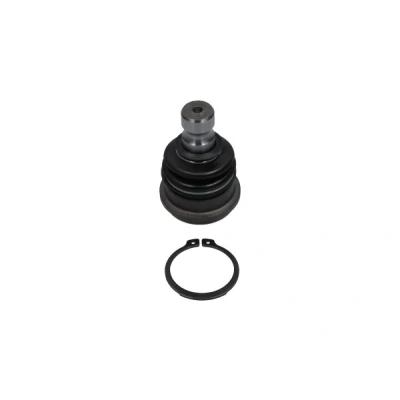 Abbildung von KAVO PARTS SBJ 3017 Traggelenk Vorderachse 43 77 für Querlenker HYUNDAI: Santa Fe 2, I, Trajet, KIA: SORENTO 2