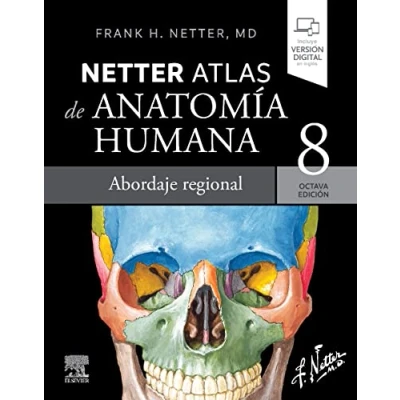 Abbildung von Netter. Atlas de anatomía humana. Abordaje regional