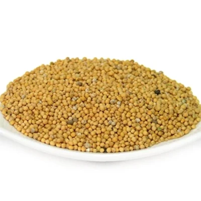 Abbildung von pikantum Bio Senfsaat gelb 1kg Senfkörner Senfsamen