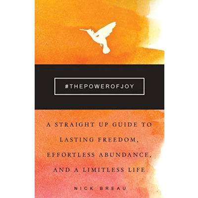 Abbildung von The Power of Joy: a Straight Up Guide to Lasting Freedom, Effortless Abundance, and Limitless Life