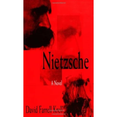 Abbildung von Nietzsche: A Novel (S U N Y Series in Contemporary Continental Philosophy)