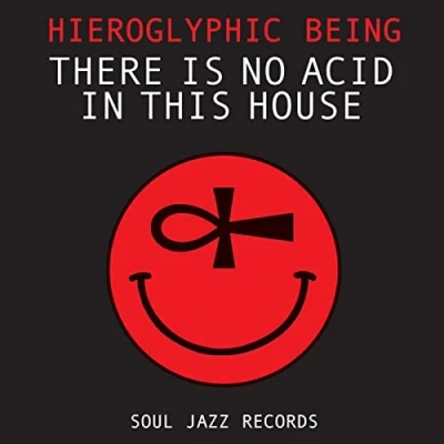 Abbildung von There Is No Acid in This House [Vinyl LP]