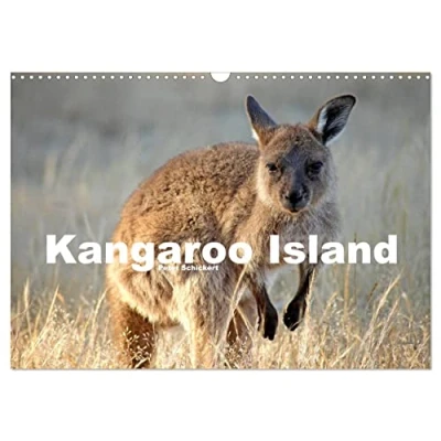 Abbildung von Kangaroo Island (Wandkalender 2025 DIN A3 quer), CALVENDO Monatskalender