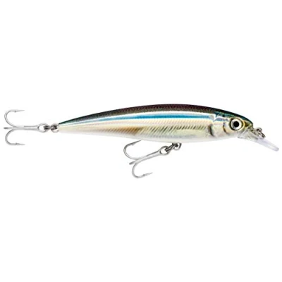 Abbildung von Rapala Unisex Adult X Rap Saltwater Locken, Anschovis, 10cm