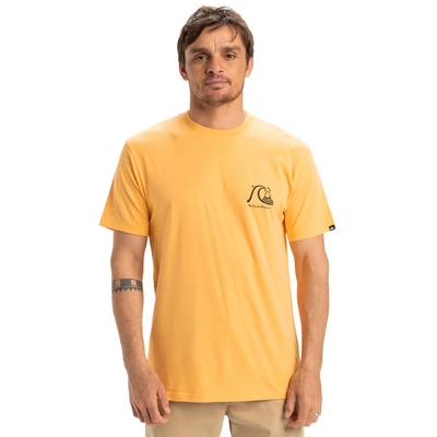 Abbildung von Quiksilver EVO Original Tshirt print, Herren, Größe: Large, Ngr