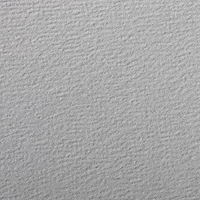 Abbildung von Clairefontaine 90867C Packung (mit 5 Bögen Zeichenpapier Etival Color, DIN A4, 21 x 29,7 cm, 160g, gekörnt, ideal für Trockentechnik und Einrahmen) grau