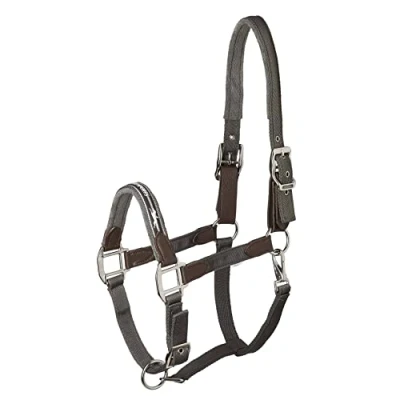 Abbildung von Schockemöhle Halfter Memphis Safety Nylon Anthra Warmblut Agradi.deVerkauft von Agradi
