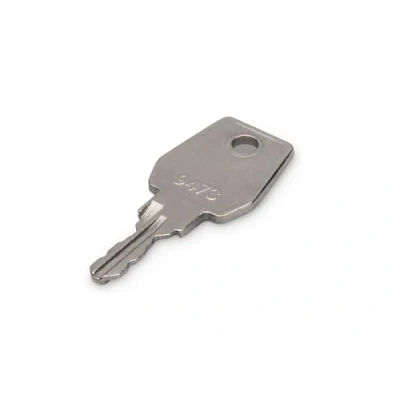 Abbildung von DIGITUS Professional DN 19 KEY 9473 Schlüssel, Silber
