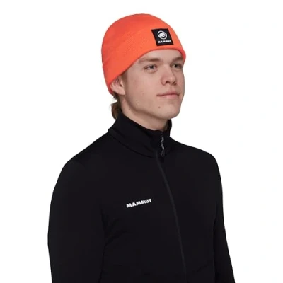 Abbildung von Mammut Fedoz Beanie