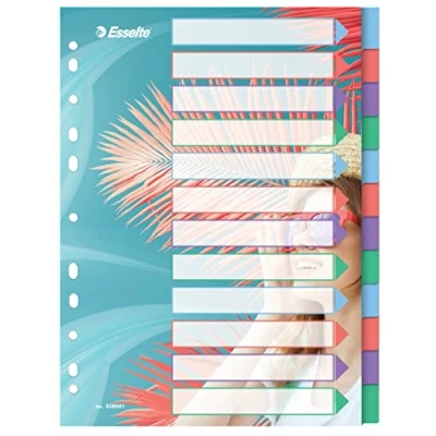 Abbildung von 10 x Esselte Register Colour&#039;Breeze A4 PP blanko 12 teilig transparent