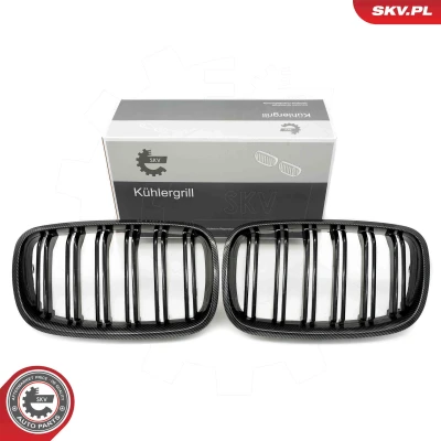 Abbildung von ESEN SKV 66SKV290 Kühlergrill carbon BMW: X5