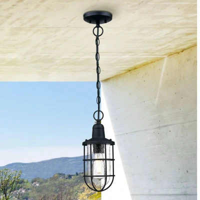 Abbildung von 6334840 Einflammige Pendelleuchte Crestview von Westinghouse Lighting für Außenbereiche, Ausführung in strukturiertem Schwarz mit klarem Antikglas