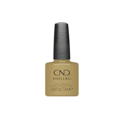 Abbildung von Shellac Gilded Sage