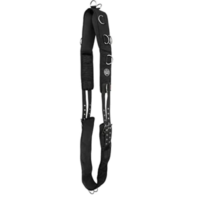 Abbildung von Longiergurt Pferd. Voltigiergurt. 12 Ringe START Neoprene MoldedFoam