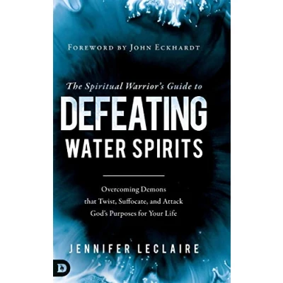 Abbildung von The Spiritual Warrior&#039;s Guide to Defeating Water Spirits