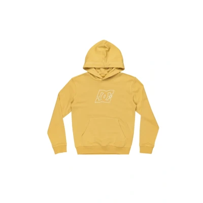 Abbildung von DC Shoes Kapuzenpullover für Kinder, Größe: 158/164, Rattan