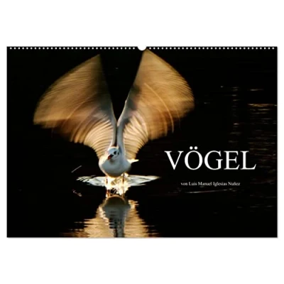 Abbildung von VÖGEL (Wandkalender 2025 DIN A2 quer), CALVENDO Monatskalender