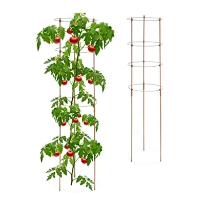 Abbildung von relaxdays Rankhilfe 120 cm 2er Set brau