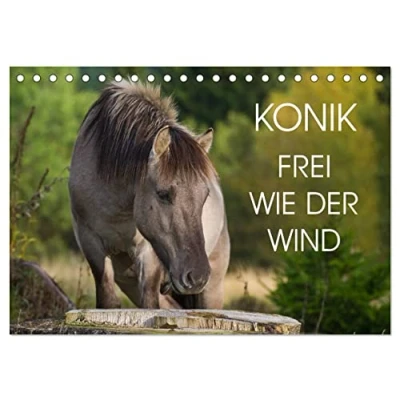 Abbildung von Konik Frei geboren (Tischkalender 2025 DIN A5 quer), CALVENDO Monatskalender