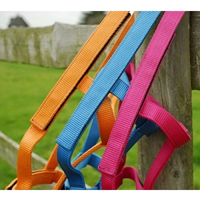 Abbildung von Rhinegold 0 Field Safe Headcollar Cob Raspberry Halfter, Himbeere