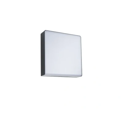 Abbildung von Paulmann 948.42 LED Außenwandleuchte Azalena Bewegungsmelder mit Hochfrequenz Sensor IP44 250mm Tunable Warm 8,5W 700lm 230V Anthrazit Kunststoff,