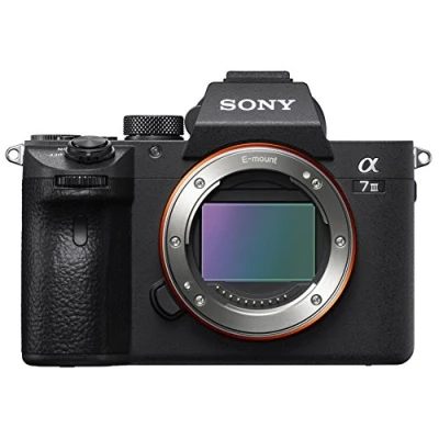 Abbildung von Sony Alpha ILCE 7 III (ILCE7M3) + SEL 24 105mm f4,0 G O Systemkamera