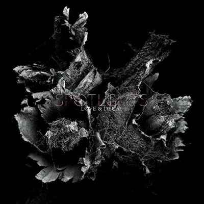 Abbildung von Love &amp; Decay