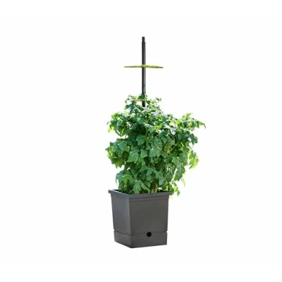 Abbildung von Romberg Pflanzer Tomatentopf mit Selbstbewässerung, (Tomatenpot), Selbstbewässerung und Rankhilfe  Recycelter Kunststof