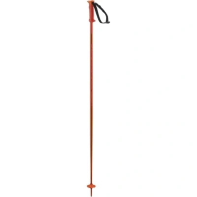 Abbildung von Salomon Unisex Adult Polar Alpine Poles, Cherry Tomato, 110