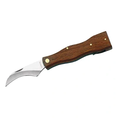 Abbildung von Herbertz Pilzmesser, rostfrei, Holz Heft inklusive Bürste Messer, grau, M