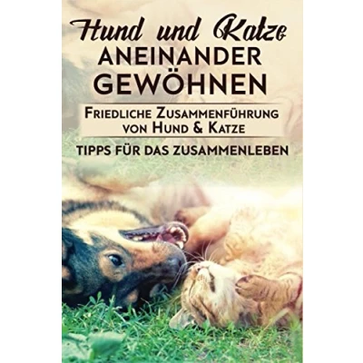 Abbildung von Hund und Katze aneinander gewöhnen : Friedliche Zusammenführung von &amp; Katze: Tipps für das Zusammenleben
