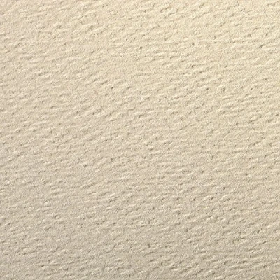 Abbildung von Clairefontaine 90891C Packung (mit 5 Bögen Zeichenpapier Etival Color, DIN A4, 21 x 29,7 cm, 160g, gekörnt, ideal für Trockentechnik und Einrahmen) eierschalenfarbe