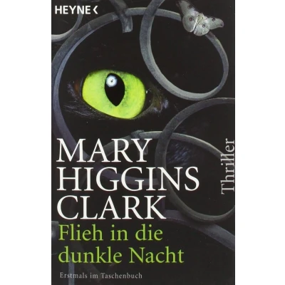 Abbildung von Flieh in die dunkle Nacht