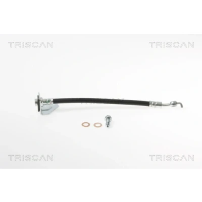 Abbildung von TRISCAN 8150 18220 Bremsschläuche 261 F10x1 KIA: CARENS 3, 2